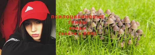 spice Бронницы