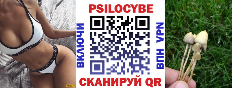 мориарти состав  Семёнов  Псилоцибиновые грибы MAGIC MUSHROOMS  гидра как зайти 