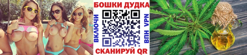 kraken как войти  купить наркотик  Семёнов  Каннабис Amnesia 